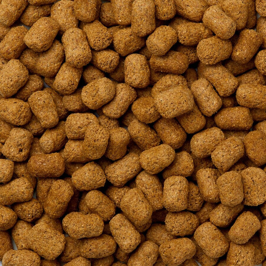 Spand med Skildpadde Pellets