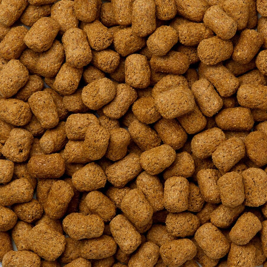 Spand med Skildpadde Pellets