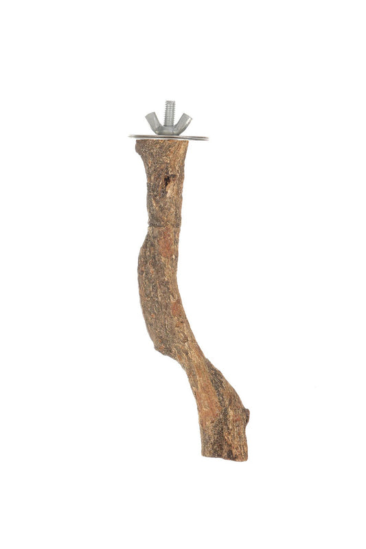 Jungle Vine